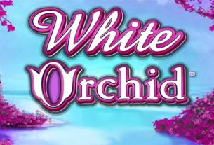 Bí ẩn White Orchid: Tựa game khiến bạn mê mẩn!
