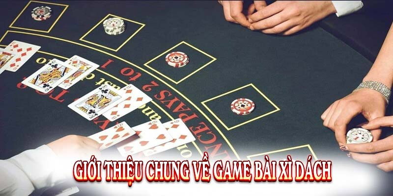 Cách Chơi Xì Dách – Mách Người Mới Các Mẹo Hay Để Thắng